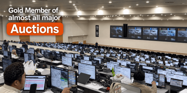 Gold Auction Members